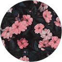 Ilmaa profile picture